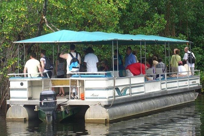 Private Appleton YS Falls and Black River Tour from Montego Bay - Private pickup from Montego Bay: the real value is the driving