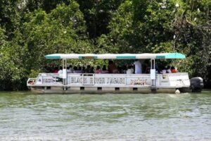 Private Appleton YS Falls and Black River Tour from Montego Bay - YS Falls: rope swings, terraces, and the reality of water time