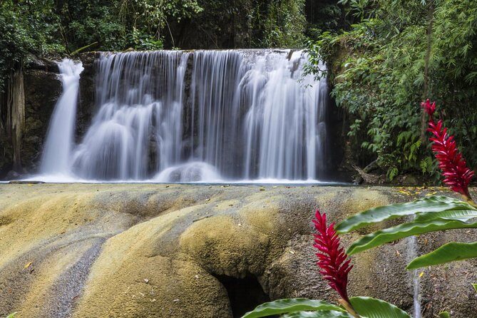 Private Appleton YS Falls and Black River Tour from Montego Bay - Black River: a one-hour crocodile cruise that’s more than thrill-seeking