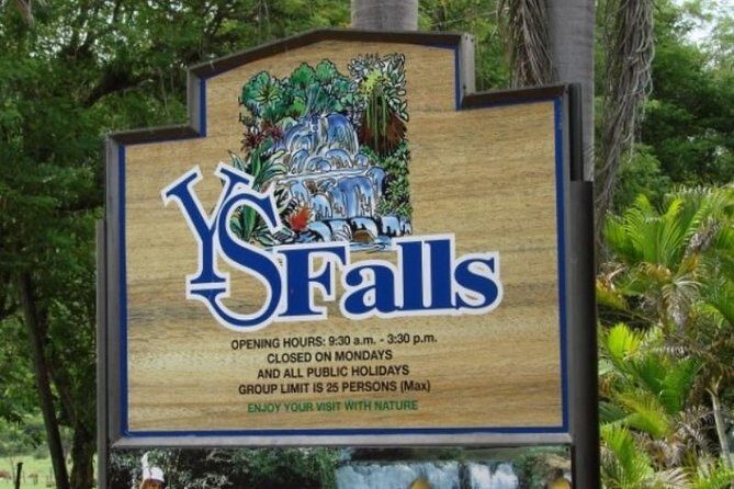 Private Appleton YS Falls and Black River Tour from Montego Bay - What to bring (so you’re not stuck dealing with wet surprises)