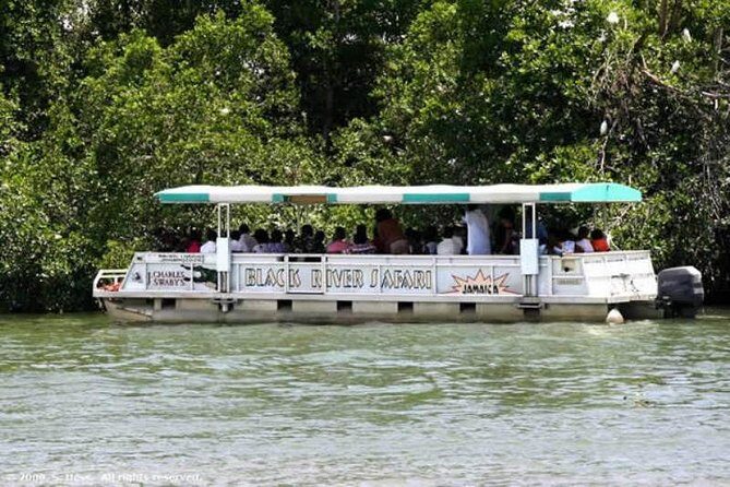 Private Appleton YS Falls and Black River Tour from Montego Bay - YS Falls: rope swings, terraces, and the reality of water time