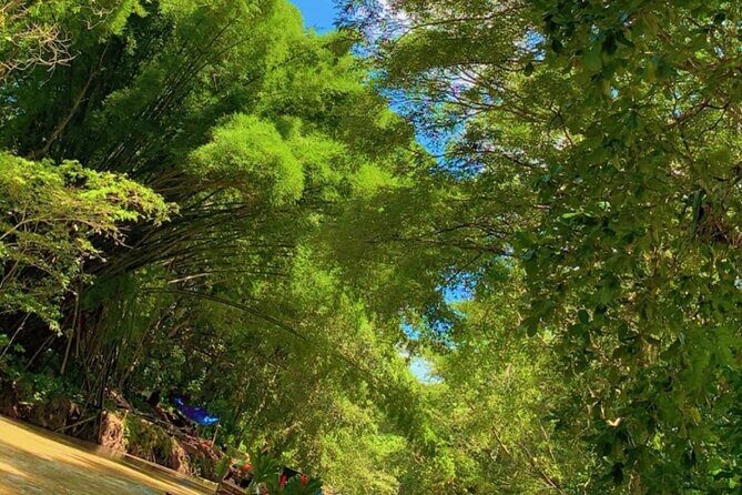 Private Bamboo River Rafting & Foot Massage from Montego Bay - A Few Practical Gotchas to Keep You Happy