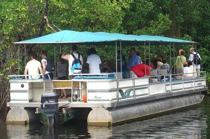 Private Black River Safari Tour from Montego Bay - Price and Value: What $160 Covers (and What It Doesn’t)