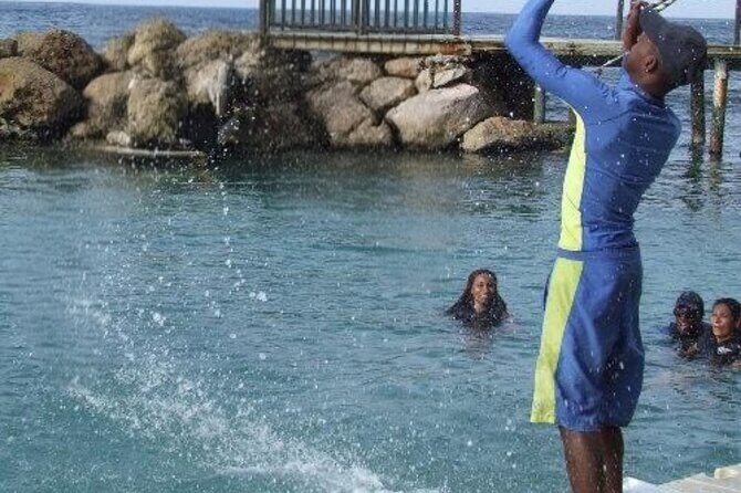 Private Dolphin Cove Adventure - Transportation and hosts: Andre and Claude set the tone