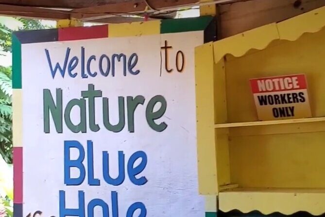 Private Dunns River Falls and Blue Hole from Montego Bay Tour - What’s Included (and What That Actually Means for Your Day)