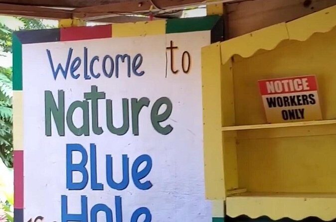 Private Dunns River Falls and Blue Hole from Montego Bay Tour - Who Should Book This Tour (and Who Should Skip)