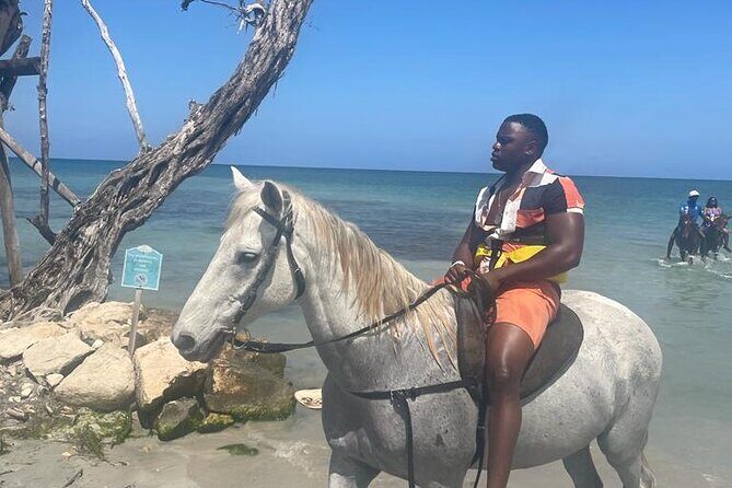 Private Dunns River Falls and Horse Back Riding - Key highlights that make this worth it