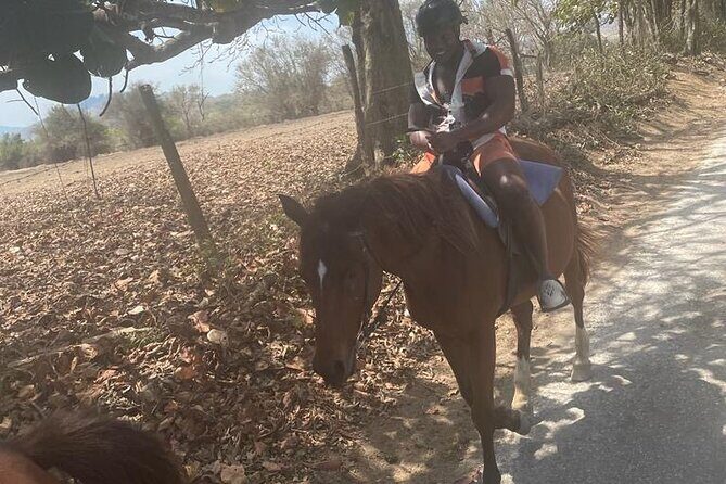 Private Dunns River Falls and Horse Back Riding - VIP entrance at Dunn’s River Falls: what to expect and how to enjoy it