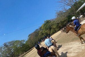 Private Dunns River Falls and Horse Back Riding - The drive experience: water, puddings, and photo stops you’ll appreciate later
