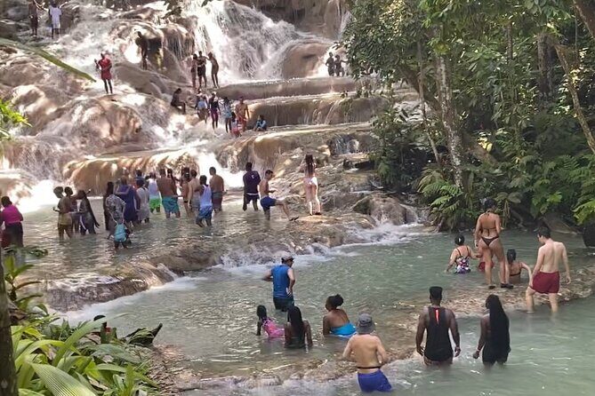 Private Dunns River Falls and Horse Back Riding - Driver quality matters more than you think (and this one gets praise)