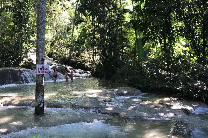 [PRIVATE] Dunn's River Falls with Entrance Fees - Why the Local Guide Matters More Than You Think