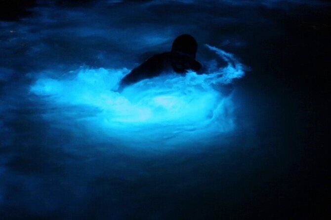 Private Guided Night Tour of Luminous Lagoon in Montego Bay - Key things to know before you go