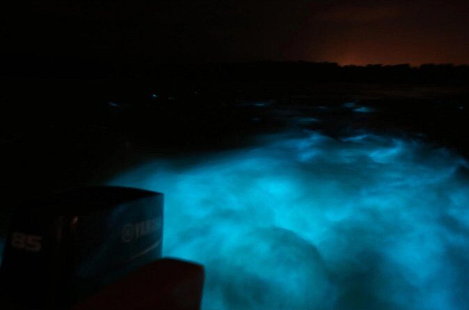 Private Guided Night Tour of Luminous Lagoon in Montego Bay - Who this private night tour fits best in Montego Bay