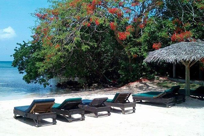 Private Half Moon Beach Tour from Montego Bay - Half Moon Beach and Calico Jack’s: a quieter west-coast reset