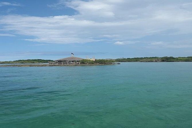 Private Half Moon Beach Tour from Montego Bay - Lunch and drinks: plan for your own buffet and choose your moment