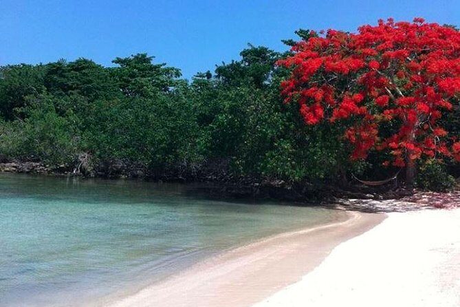Private Half Moon Beach Tour from Montego Bay - Price and value: what $115 actually buys you