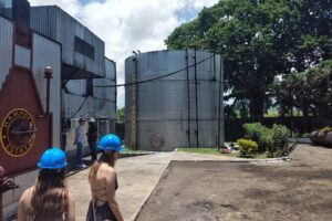 Private Hampden Estate Rum Tour from Montego Bay or Falmouth - How the 3 to 4 hour format works (and why it’s efficient)