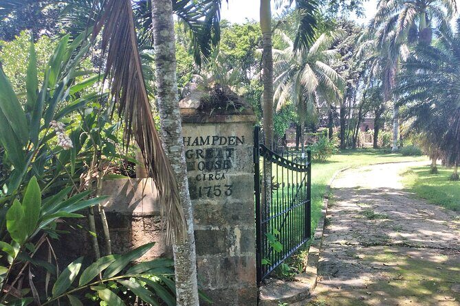 Private Hampden Estate Rum Tour from Montego Bay or Falmouth - Weather reality: why this tour cares about conditions