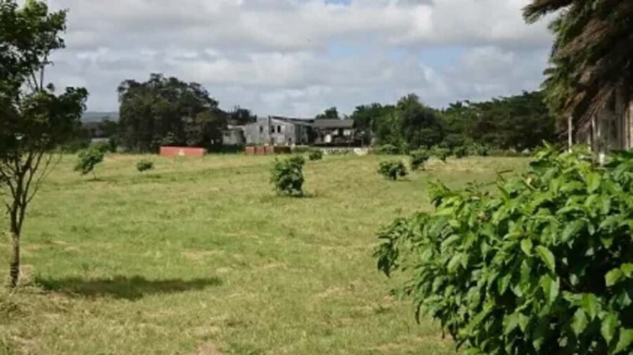 Private Hampden Estate Rum Trip from Montego Bay - Private air-conditioned transportation: simple logistics from your pickup point