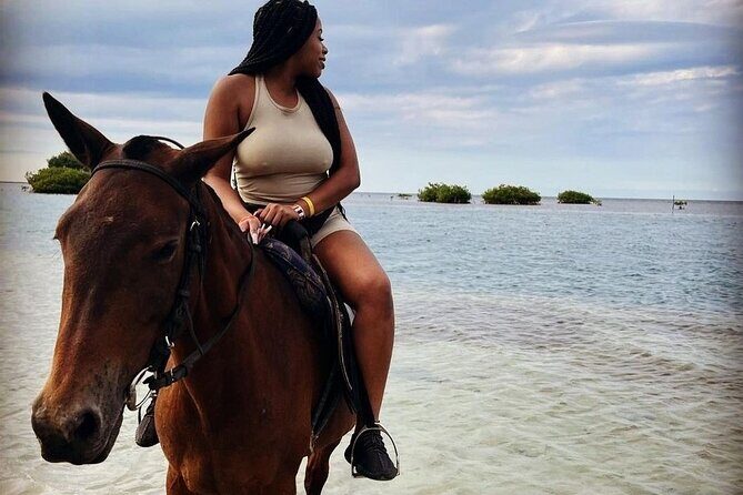 Private Horse Back Riding with ATV Combo. - ATV climb in Saint James Parish: what riding feels like