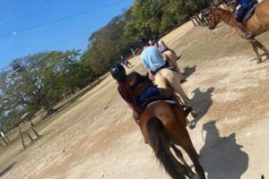 Private Horseback Riding with Blue Hole River Tour in Montego Bay - How the 4-Hour Schedule Really Feels (and why the drive matters)