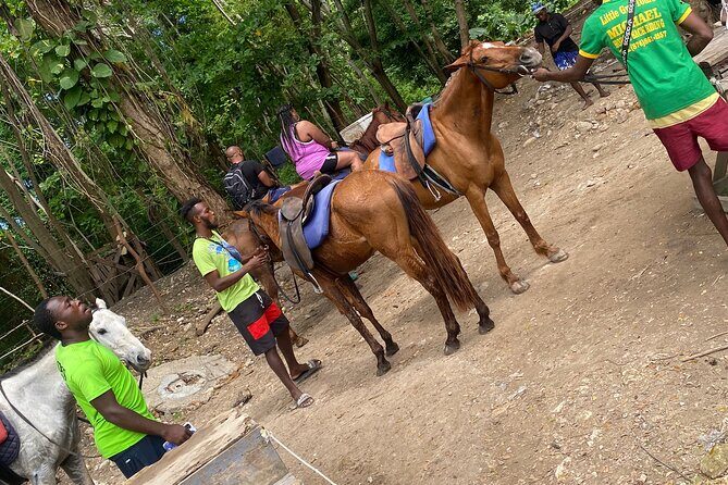 Private Horseback Riding with Blue Hole River Tour in Montego Bay - Discover Bay Horseback Riding: beach time and bird encounters