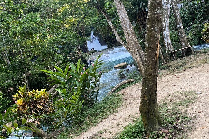 Private Horseback Riding with Blue Hole River Tour in Montego Bay - Price and Value: why $80 can work for the right kind of traveler
