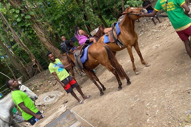 Private Horseback Riding with Blue Hole River Tour in Montego Bay - Included vs. Not Included: what to plan around