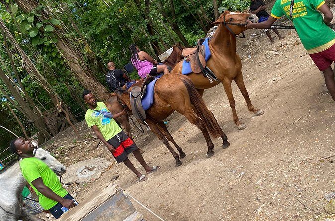 Private Horseback Riding with Blue Hole River Tour in Montego Bay - Who This Tour Suits Best (and who should think twice)
