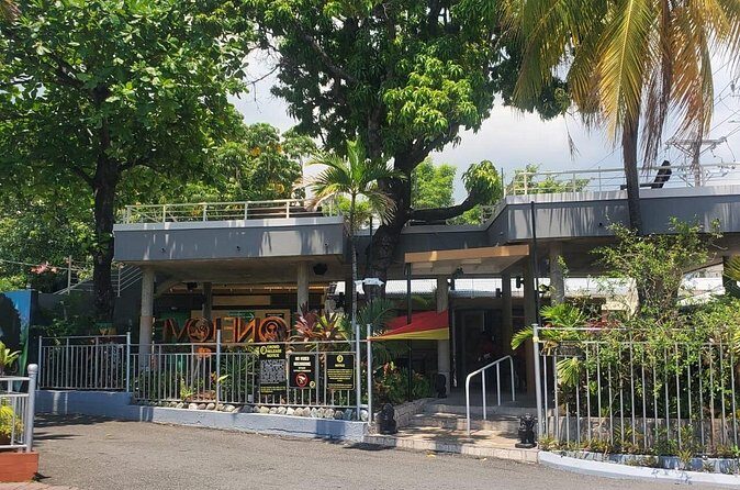 Private Kingston and Bob Marley Museum Tour from Falmouth - What’s Included in the $150 Price (and What You’ll Want to Budget)