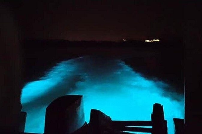 Private Luminous Blue Lagoon Night Tour in Falmouth - Price and Value: Is $90 a Good Deal?