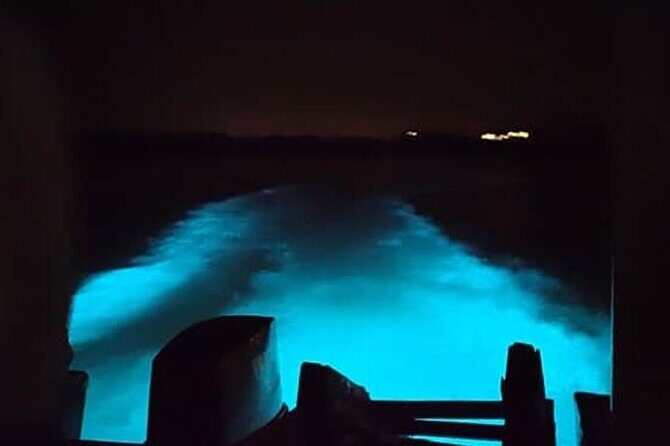 Private Luminous Blue Lagoon Night Tour in Falmouth - Arriving at the Luminous Lagoon: How the Glow Actually Happens