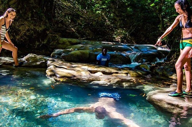 Private Mayfield Falls Waterfalls Tour [ Transportation ] - What the 4–5 Hour Schedule Feels Like in Real Life