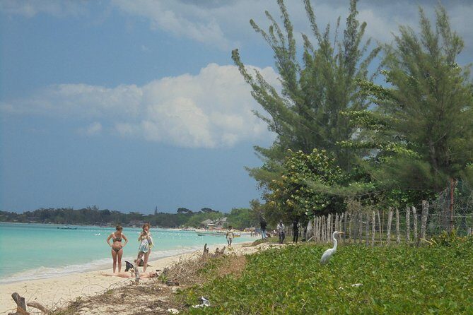 Private Montego Bay Airport Transfer to Negril - How to get the smooth version of this transfer