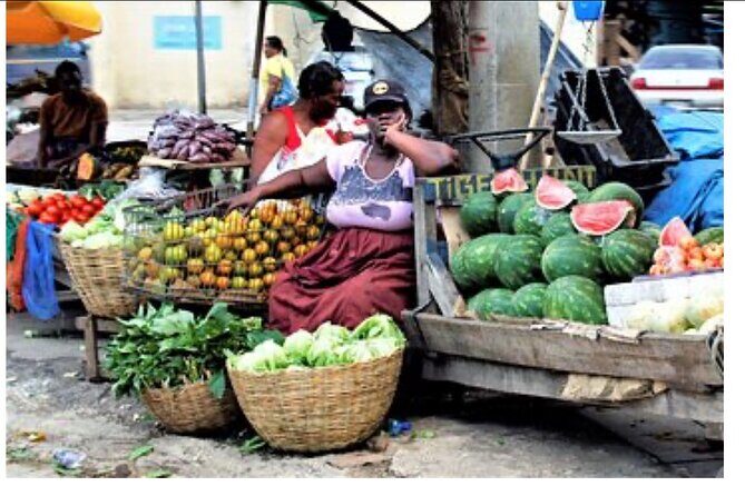 Private Montego Bay City Tour with Sightseeing and Shopping - Price and Value: What $90 Covers and How to Think About It