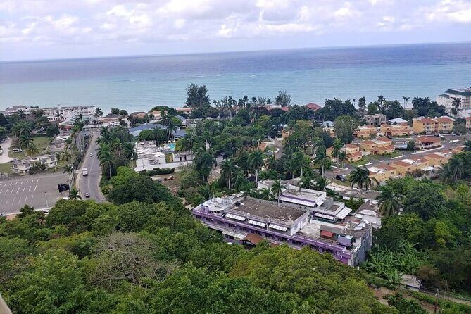 Private Montego Bay Highlights Tour - A Private Montego Bay Orientation in 2–3 Hours