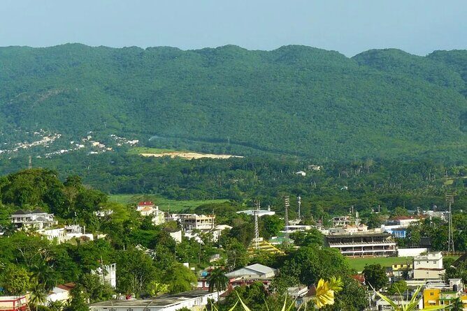 Private Montego Bay Highlights Tour with Pickup Included - Stop 4: Crafts Market for Souvenirs That Feel Personal