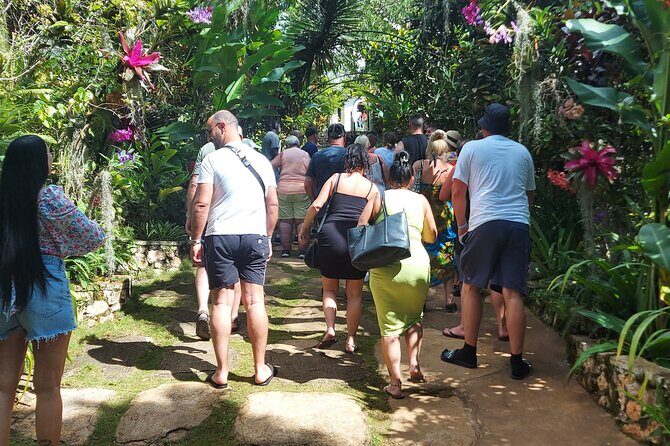 Private Nine Mile Tour from Montego Bay - Should You Book VIP Tours Jamaica’s Private Nine Mile Tour?