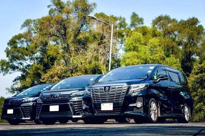 Private Roundtrip Airport Transfer to Resorts in Negril - What makes this transfer feel worth it