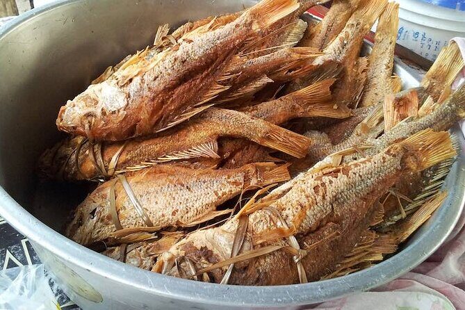 Private Seafood Tour and Floyds Pelican Bar or Black River Safari - Black River Safari: pontoon comfort, crocodiles, and mangroves