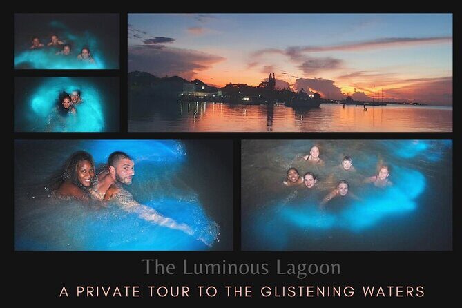 Private Tour in the Glistening Waters from Montego Bay - Key highlights you’ll actually care about