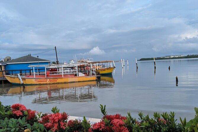 Private Tour in the Glistening Waters from Montego Bay - What’s included on this private Luminous Lagoon tour (and why it’s good value)