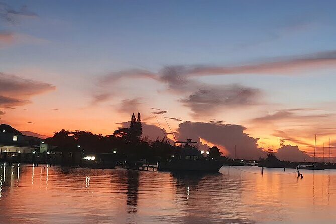 Private Tour in the Glistening Waters from Montego Bay - Smart tips to make your glowing night easier