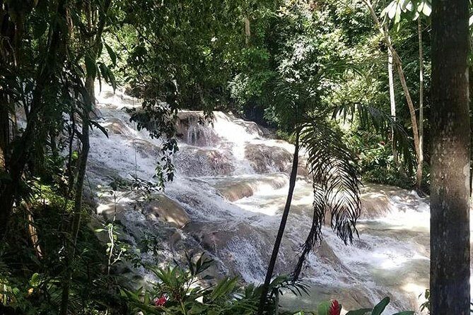 Private Tour Montego Bay To Blue Hole and Dunns River falls - Who this private Montego Bay combo is best for