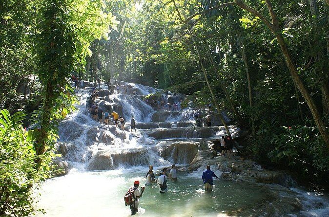 Private Tour to Dunns River and Horseback Riding with Local Guide - What the guide adds on the drive and between stops