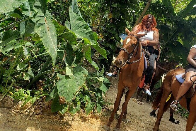 Private Tour to Dunns River and Horseback Riding with Local Guide - Beach horseback riding: gentle horses, real sea air