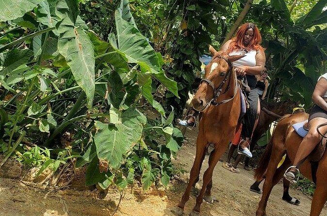 Private Tour to Dunns River and Horseback Riding with Local Guide - Included fees, snacks, and rum punch: where the money goes