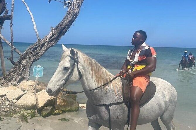 Private Tour to Dunns River and Horseback Riding with Local Guide - When to book: timing and how the day flows