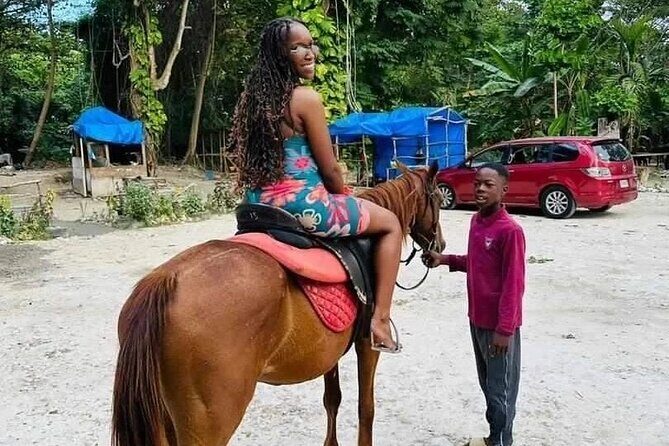 Private Transfer from Montego Bay to Dunns River Falls - Who This Private Transfer Is Best For