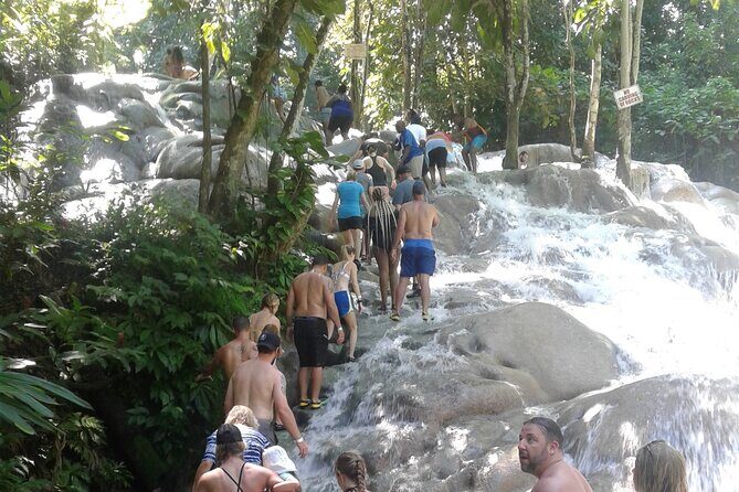 Private Transfer to Dunns River Blue Hole Tubing from Montego Bay - A private blue-hole-and-falls day that actually makes sense from Montego Bay